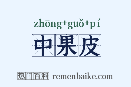 中果皮是什么意思的图片